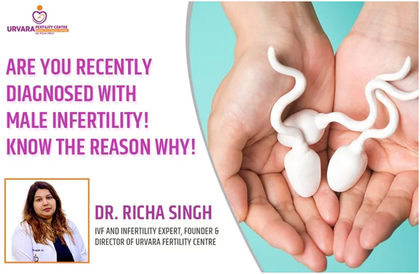best infertility doctor in lucknow, Urvara Fertility Centre Lucknow, Dr. Richa Singh- Infertility Specialist, Best IVF Centre in Lucknow